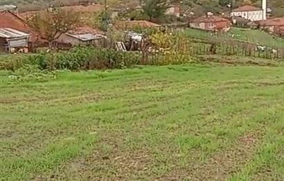 C21 BAL'DAN SAVAŞTEPE PELİTÇİK MAHALLESİ KÖYİÇİ SATILIK TARLA