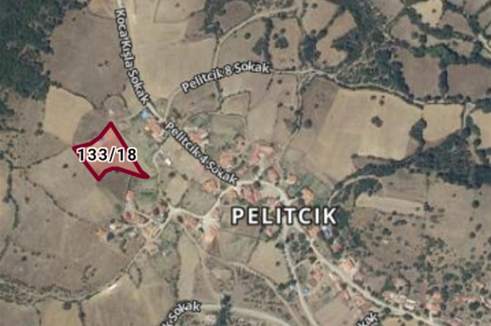 C21 BAL'DAN SAVAŞTEPE PELİTÇİK MAHALLESİ KÖYİÇİ SATILIK TARLA