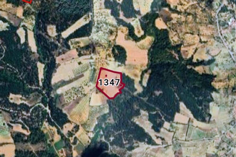 C21 Cius; Manisa Gördes Beğel'de 23.139 m2 Tarla
