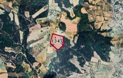 C21 Cius; Manisa Gördes Beğel'de 23.139 m2 Tarla