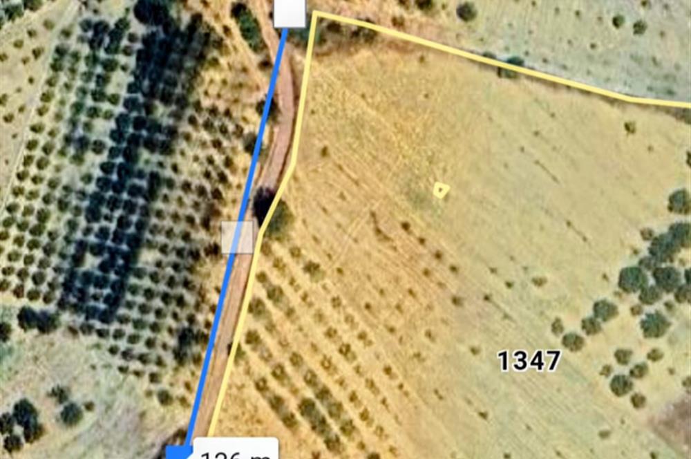 C21 Cius; Manisa Gördes Beğel'de 23.139 m2 Tarla