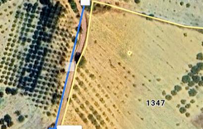 C21 Cius; Manisa Gördes Beğel'de 23.139 m2 Tarla
