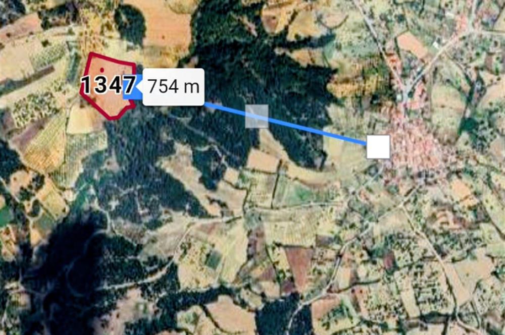 C21 Cius; Manisa Gördes Beğel'de 23.139 m2 Tarla