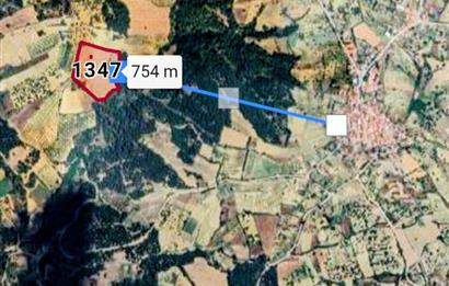 C21 Cius; Manisa Gördes Beğel'de 23.139 m2 Tarla