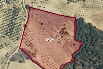 C21 Cius; Manisa Gördes Beğel'de 23.139 m2 Tarla - 1 - 29653