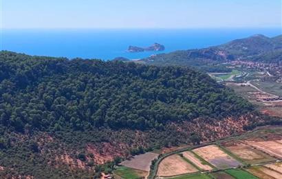 MUĞLA ORTACA SARIGERME GÜZELYURT’TA 600 M² YATIRIMLIK HİSSELİ ARSA – ALTYAPISI HAZIR