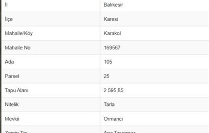 C21 BAL'DAN KARAKOL MAH.DE 2595 M2 SATILIK TARLA