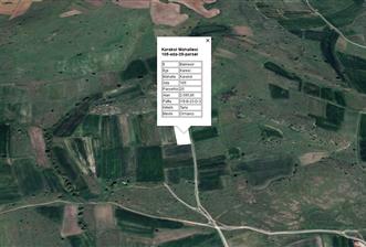 C21 BAL'DAN KARAKOL MAH.DE 2595 M2 SATILIK TARLA - 1 - 29617