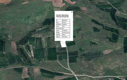 C21 BAL'DAN KARAKOL MAH.DE 2595 M2 SATILIK TARLA