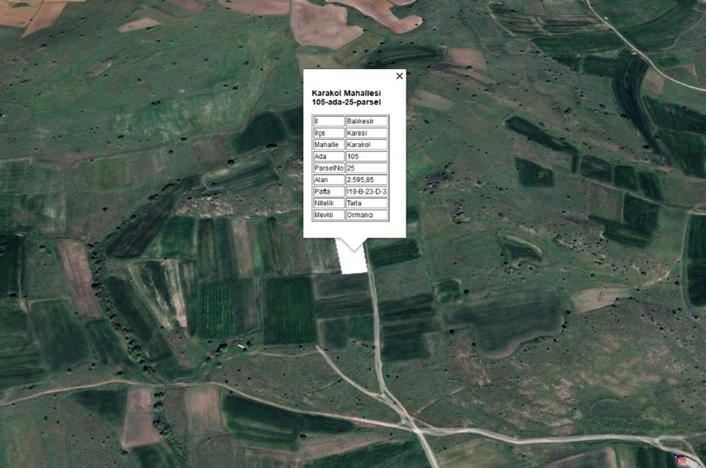 C21 BAL'DAN KARAKOL MAH.DE 2595 M2 SATILIK TARLA