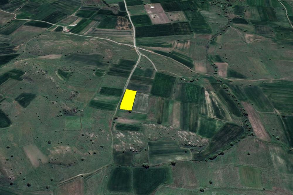 C21 BAL'DAN KARAKOL MAH.DE 2595 M2 SATILIK TARLA