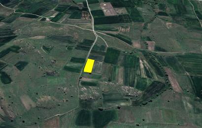 C21 BAL'DAN KARAKOL MAH.DE 2595 M2 SATILIK TARLA
