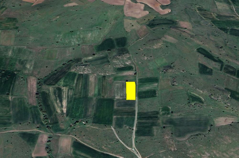 C21 BAL'DAN KARAKOL MAH.DE 2595 M2 SATILIK TARLA