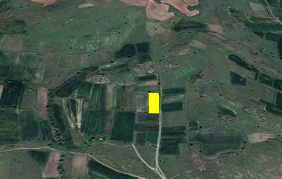 C21 BAL'DAN KARAKOL MAH.DE 2595 M2 SATILIK TARLA