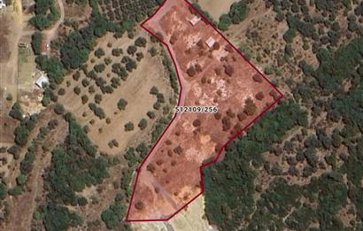 Foça / Kozbeyli — 635 m² Hisseli Arsa / Rızai Taksimli – Hobi Evi ve Bahçe İçin İdeal