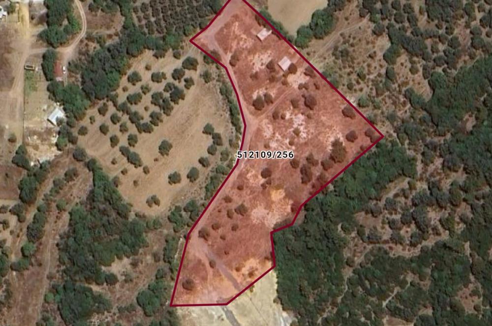 Foça / Kozbeyli — 635 m² Hisseli Arsa / Rızai Taksimli – Hobi Evi ve Bahçe İçin İdeal