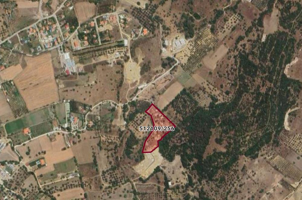 Foça / Kozbeyli — 635 m² Hisseli Arsa / Rızai Taksimli – Hobi Evi ve Bahçe İçin İdeal