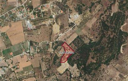 Foça / Kozbeyli — 635 m² Hisseli Arsa / Rızai Taksimli – Hobi Evi ve Bahçe İçin İdeal