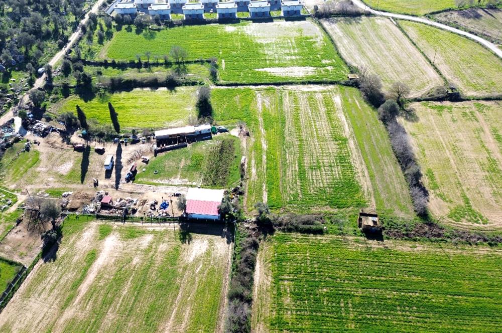 MUĞLA MİLAS KAZIK KÖYÜNDE SATILIK TARLA 