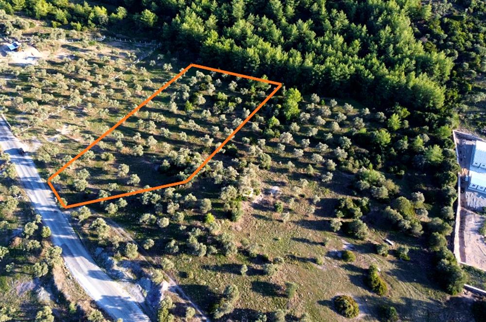 MUĞLA MİLAS BOZBÜK'TE YOL ÜSTÜ YATIRIM FIRSATI 