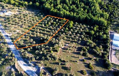 MUĞLA MİLAS BOZBÜK'TE YOL ÜSTÜ YATIRIM FIRSATI 