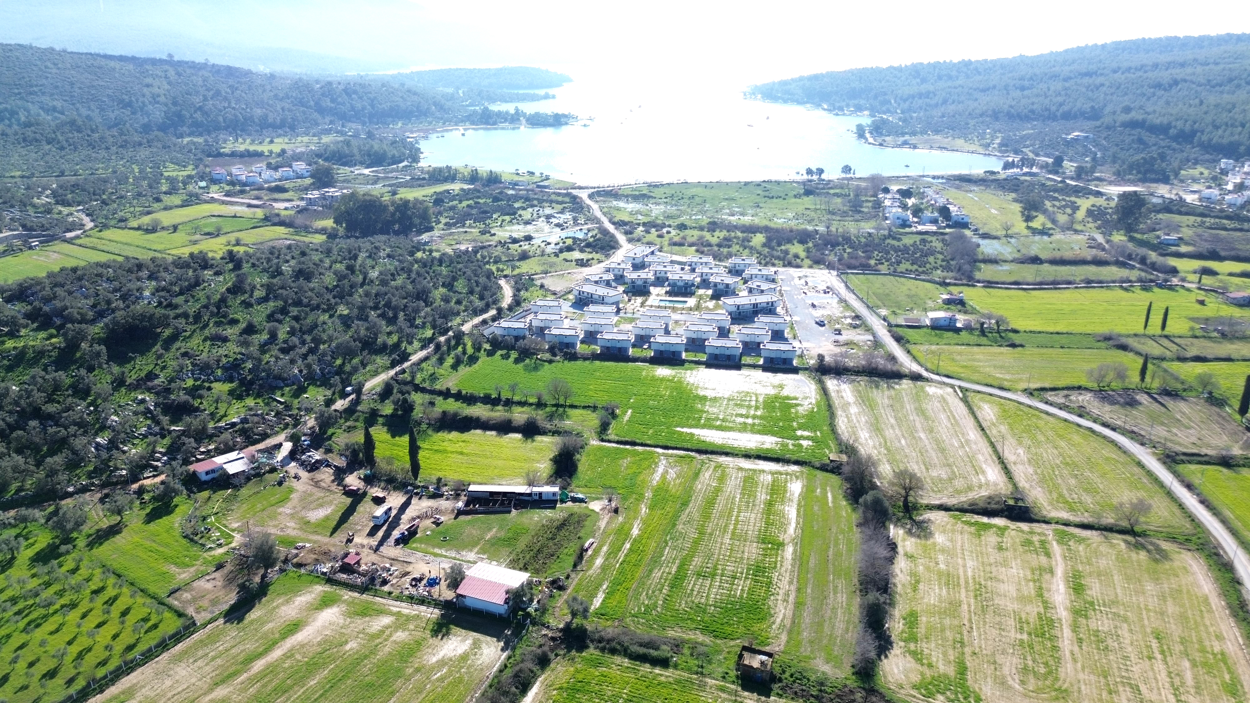 MUĞLA MİLAS KAZIK KÖYÜNDE SATILIK TARLA 