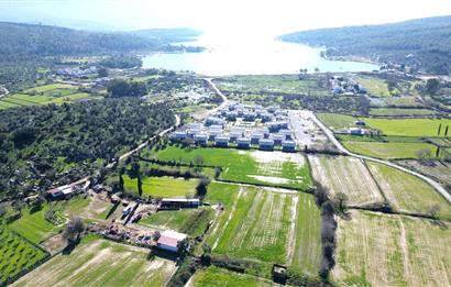 MUĞLA MİLAS KAZIK KÖYÜNDE SATILIK TARLA 