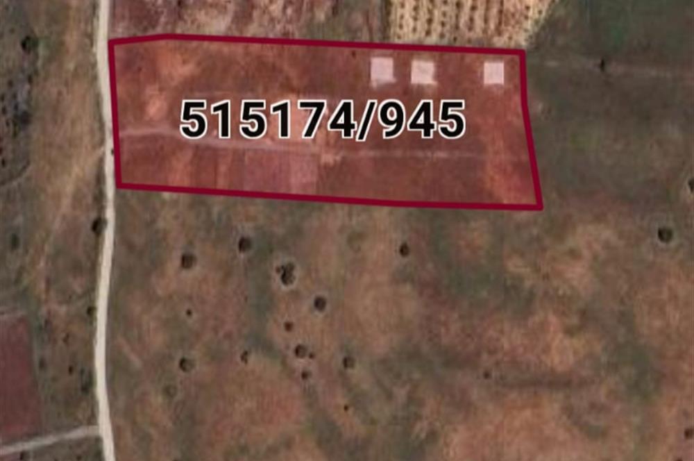 Foça Yenibağarası Satılık Fırsat Arazi