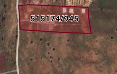 Foça Yenibağarası Satılık Fırsat Arazi