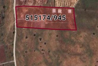 Foça Yenibağarası Satılık Fırsat Arazi - 1 - 29666