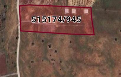 Foça Yenibağarası Satılık Fırsat Arazi