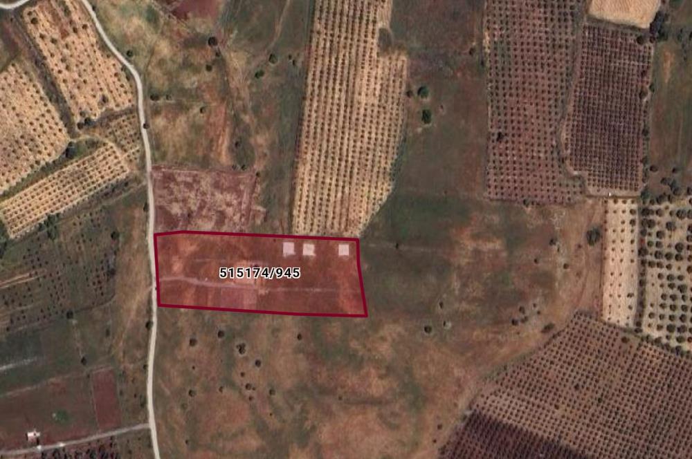 Foça Yenibağarası Satılık Fırsat Arazi