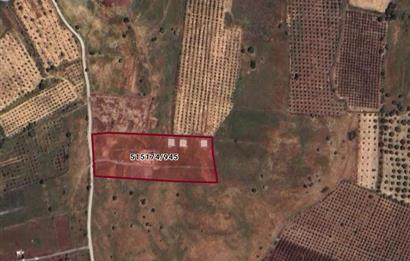 Foça Yenibağarası Satılık Fırsat Arazi