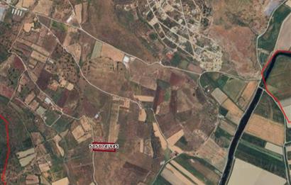 Foça Yenibağarası Satılık Fırsat Arazi