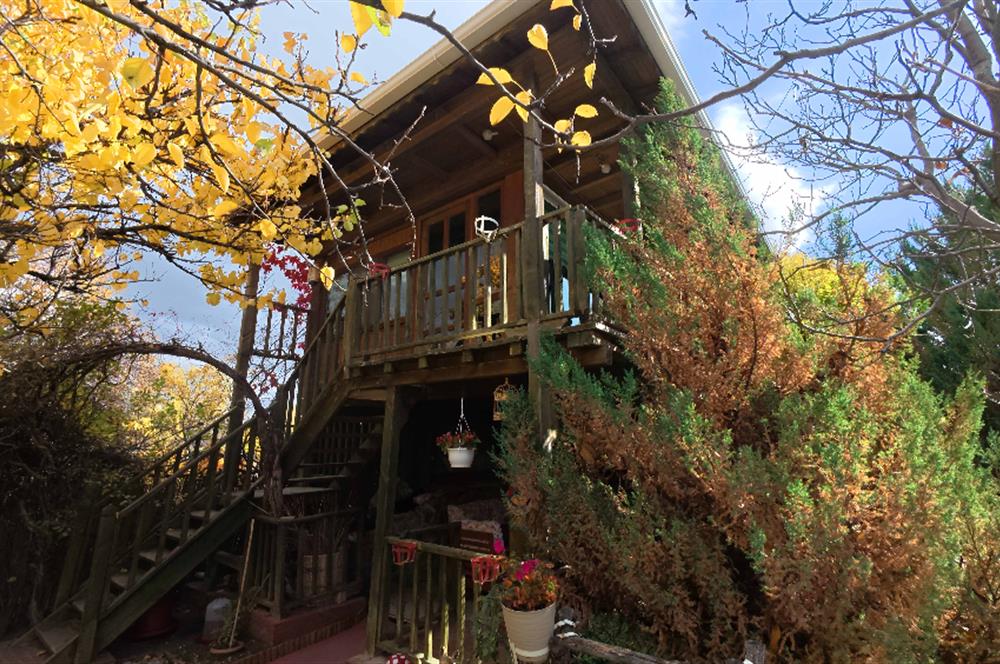 Ankara Elmadağda Havuzlu, Ağaç Evli, At Ahırlı Hobi Villası