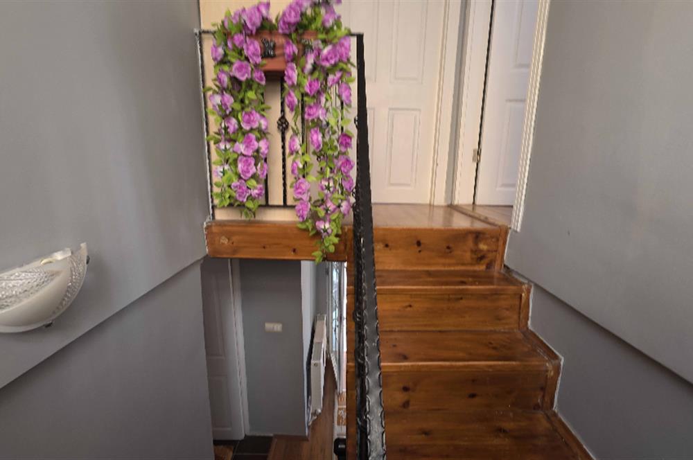 Ankara Elmadağda Havuzlu, Ağaç Evli, At Ahırlı Hobi Villası