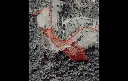 PAYAMLI YAKININDA 12 DÖNÜM DÜZ TARIM ARAZİMİZ SATLIKTIR