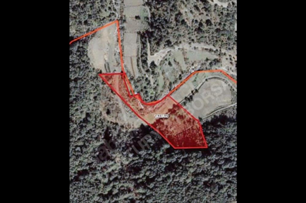 PAYAMLI YAKININDA 12 DÖNÜM DÜZ TARIM ARAZİMİZ SATLIKTIR