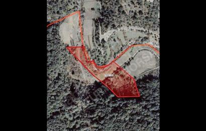 PAYAMLI YAKININDA 12 DÖNÜM DÜZ TARIM ARAZİMİZ SATLIKTIR