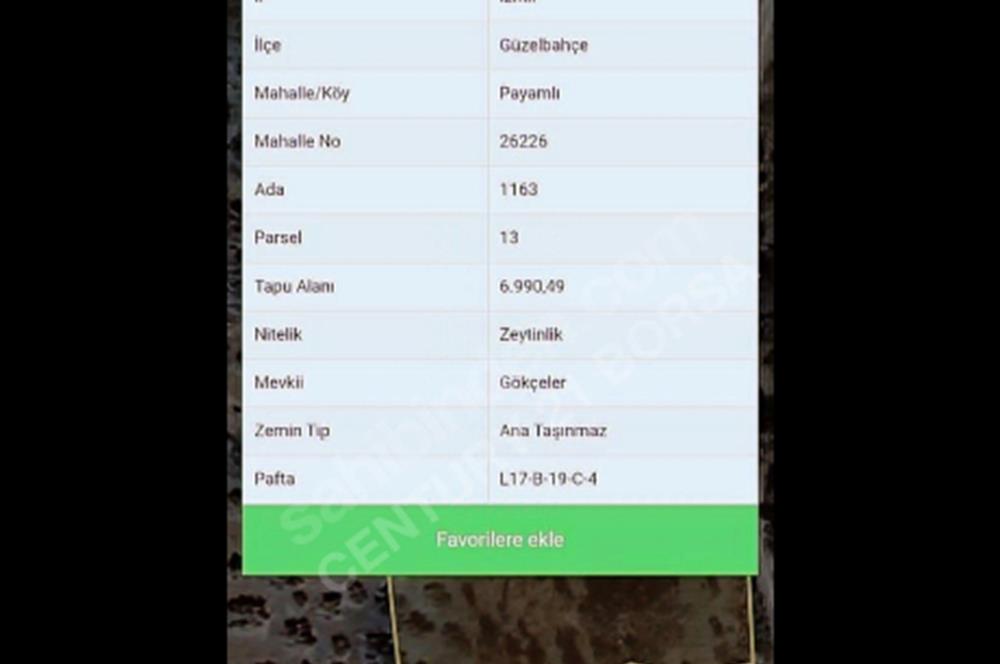 PAYAMLI KÖYÜNE 1 KM UZAKTA 7 DÖNÜM DÜZ TARIM ARAZİMİZ SATLIKTIR
