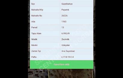 PAYAMLI KÖYÜNE 1 KM UZAKTA 7 DÖNÜM DÜZ TARIM ARAZİMİZ SATLIKTIR