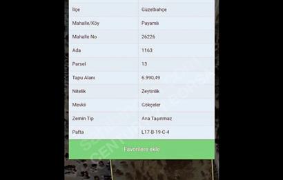 PAYAMLI KÖYÜNE 1 KM UZAKTA 7 DÖNÜM DÜZ TARIM ARAZİMİZ SATLIKTIR