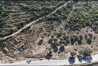 Bodrum Mazı anayola sıfır , satılık zeytinlik - 1 - 29675