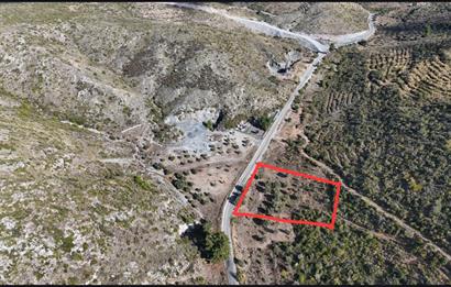 Bodrum Mazı anayola sıfır , satılık zeytinlik