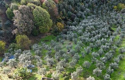 C21 Cius; 7504 m2 Fırsat Zeytinlik - Güvenli Köyü