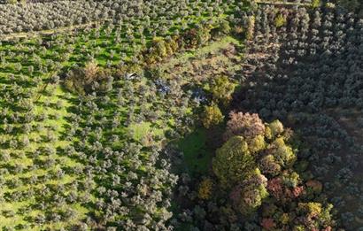 C21 Cius; 7504 m2 Fırsat Zeytinlik - Güvenli Köyü