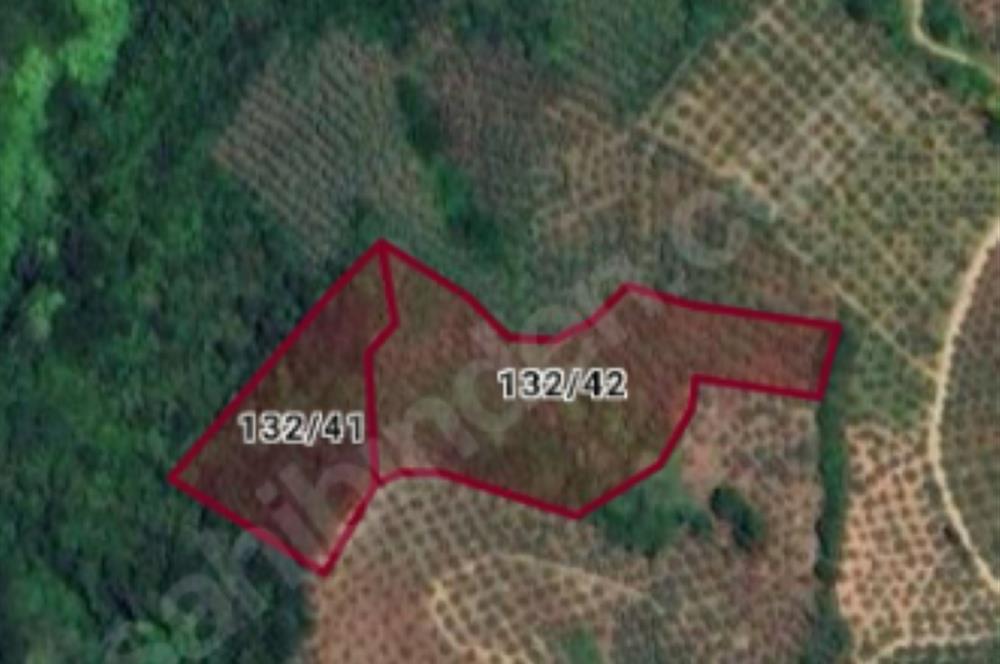 C21 Cius; 7504 m2 Fırsat Zeytinlik - Güvenli Köyü