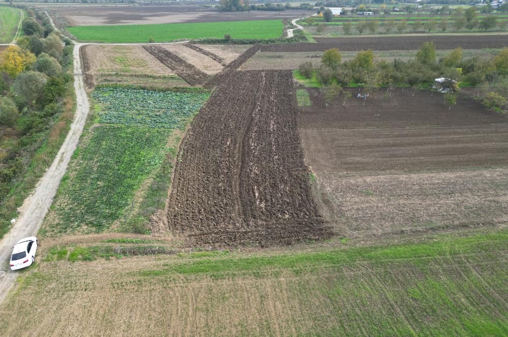 serdivan kazımpaşada merkeze yakın satılık tarla
