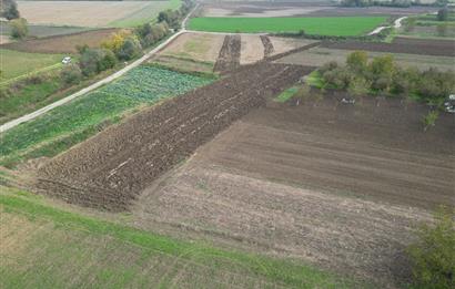 serdivan kazımpaşada merkeze yakın satılık tarla