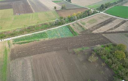 serdivan kazımpaşada merkeze yakın satılık tarla